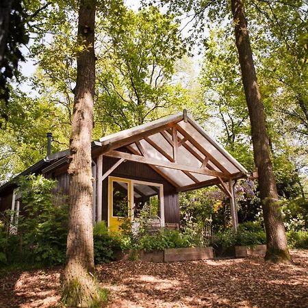 Knus Boshuisje Onder De Eiken Ermelo Buitenkant foto