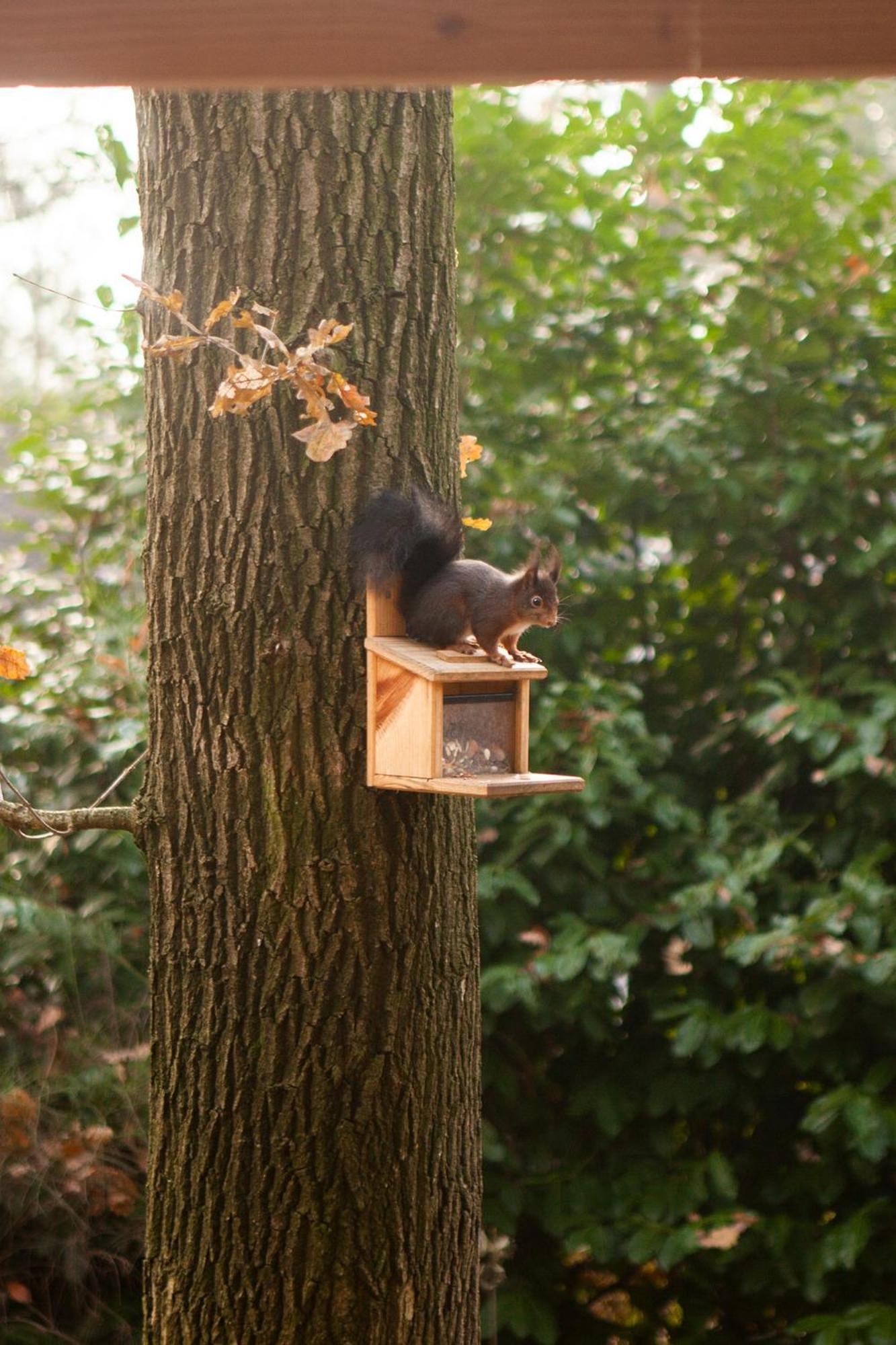 Knus Boshuisje Onder De Eiken Ermelo Buitenkant foto